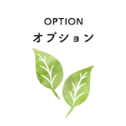 OPTION オプション